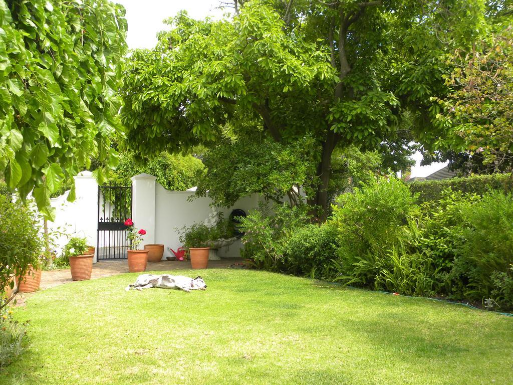 קייפטאון Applegarth B&B And Self-Catering Studios מראה חיצוני תמונה