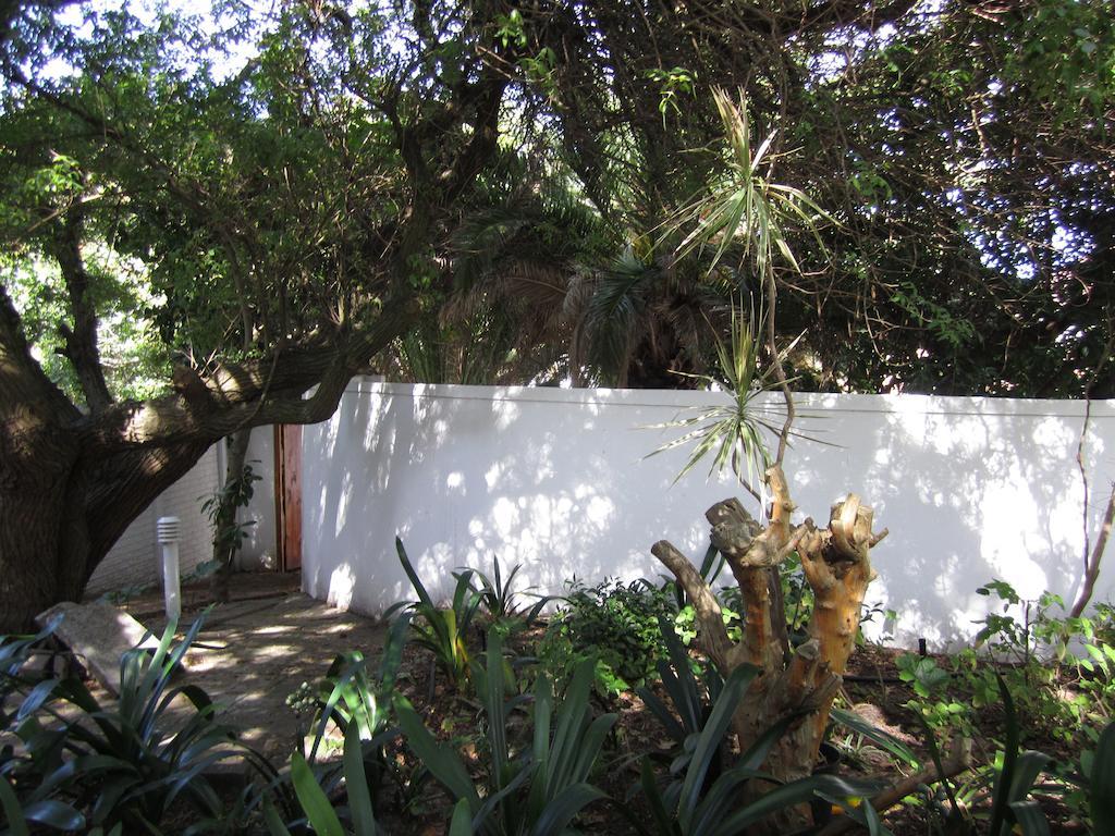קייפטאון Applegarth B&B And Self-Catering Studios מראה חיצוני תמונה